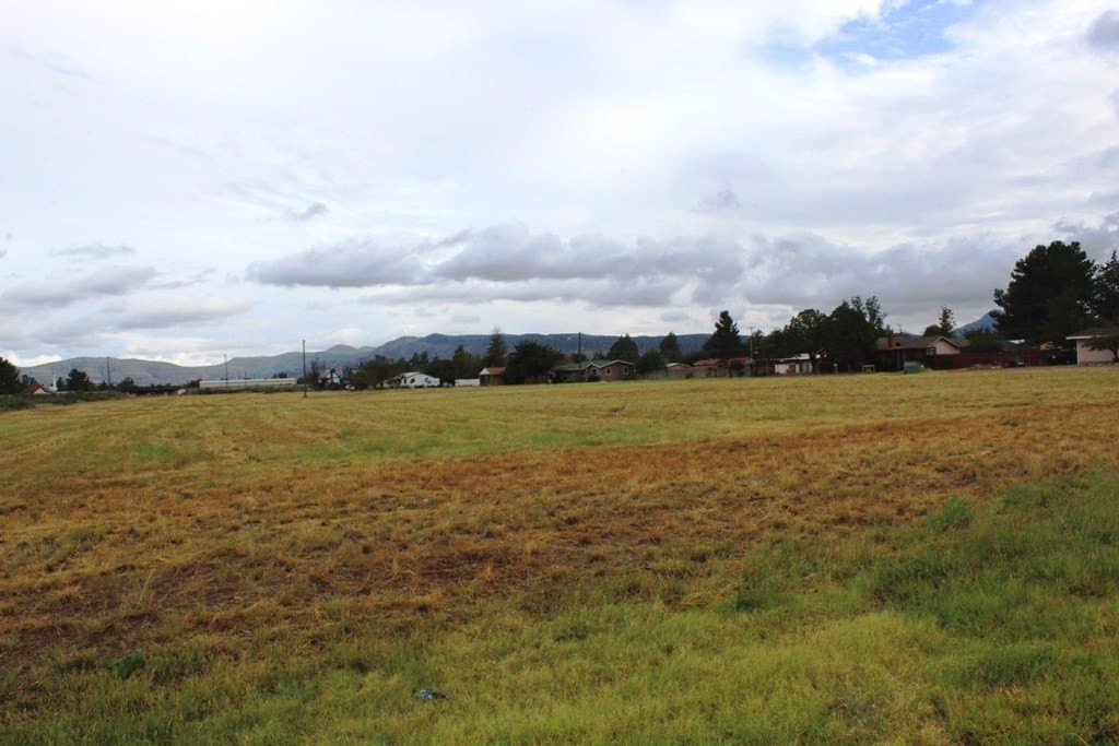 0 acres in Brewster County - photo 5
