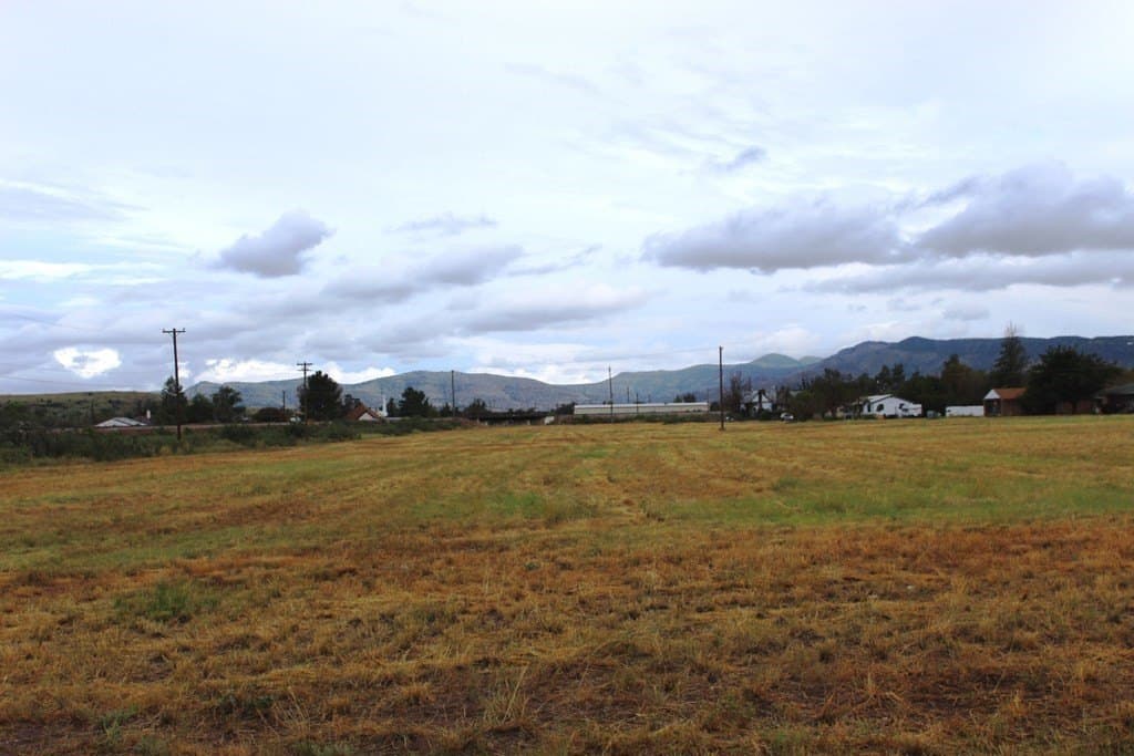 0 acres in Brewster County - photo 7