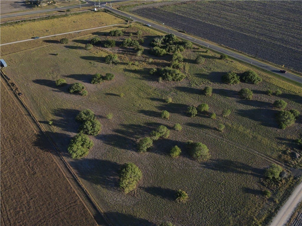11 acres in Nueces County - photo 5