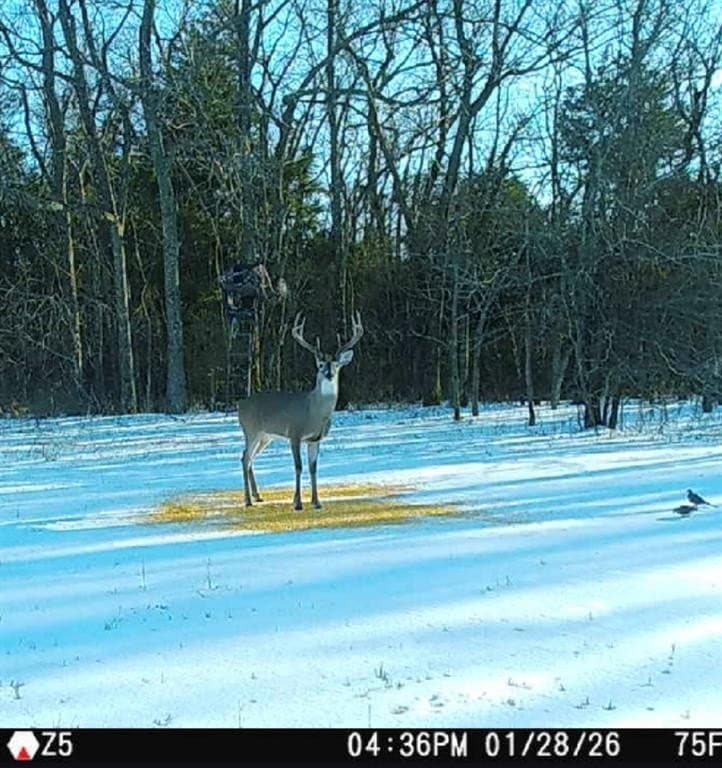 19.7 acres in Lamar County - photo 25