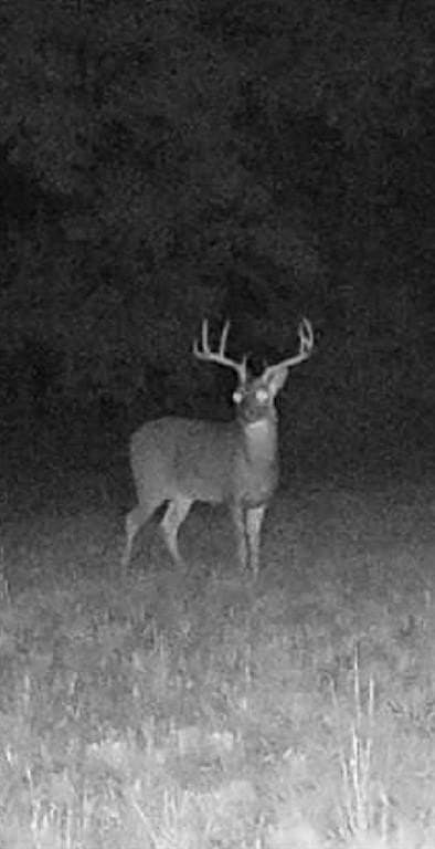 19.7 acres in Lamar County - photo 27