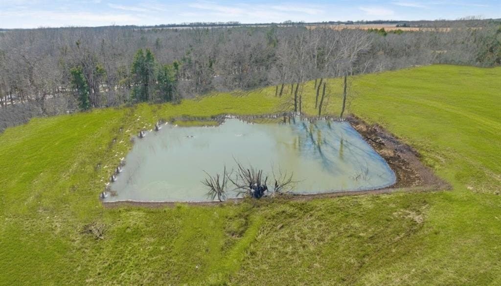 19.7 acres in Lamar County - photo 21