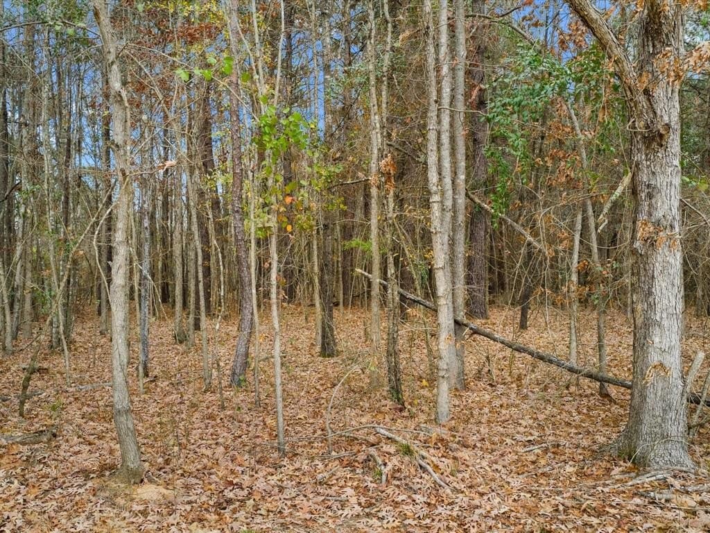 4.8 acres in Harrison County - photo 6