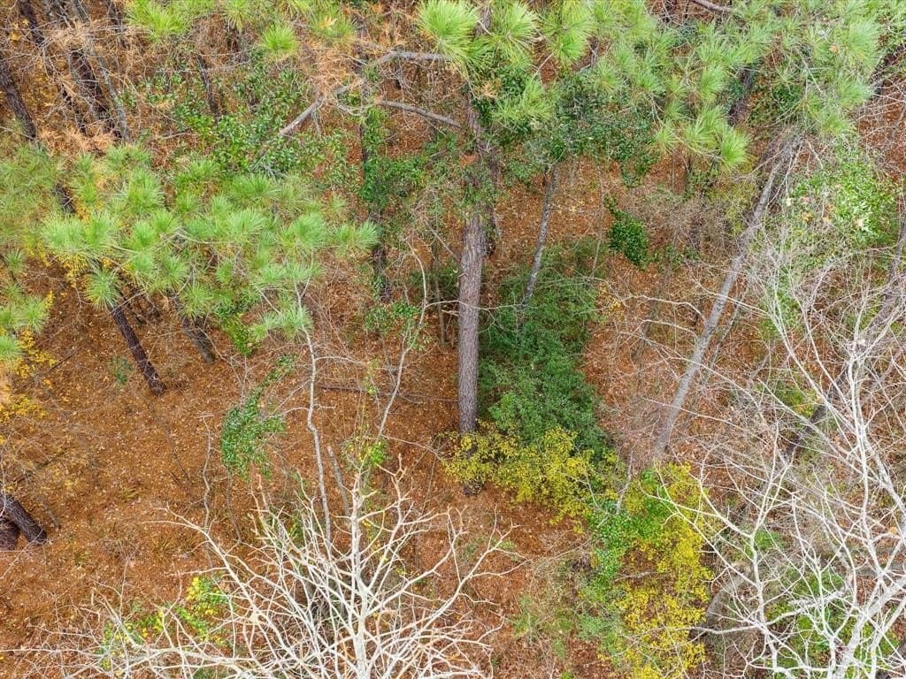 4.8 acres in Harrison County - photo 5