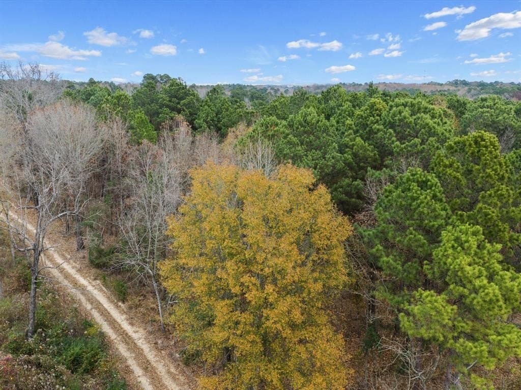 4.8 acres in Harrison County - photo 2