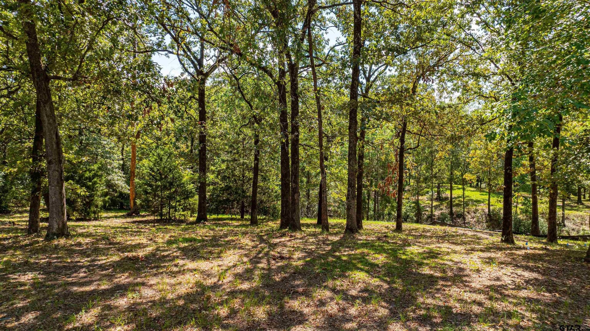 1.77 acres in Camp County - photo 15