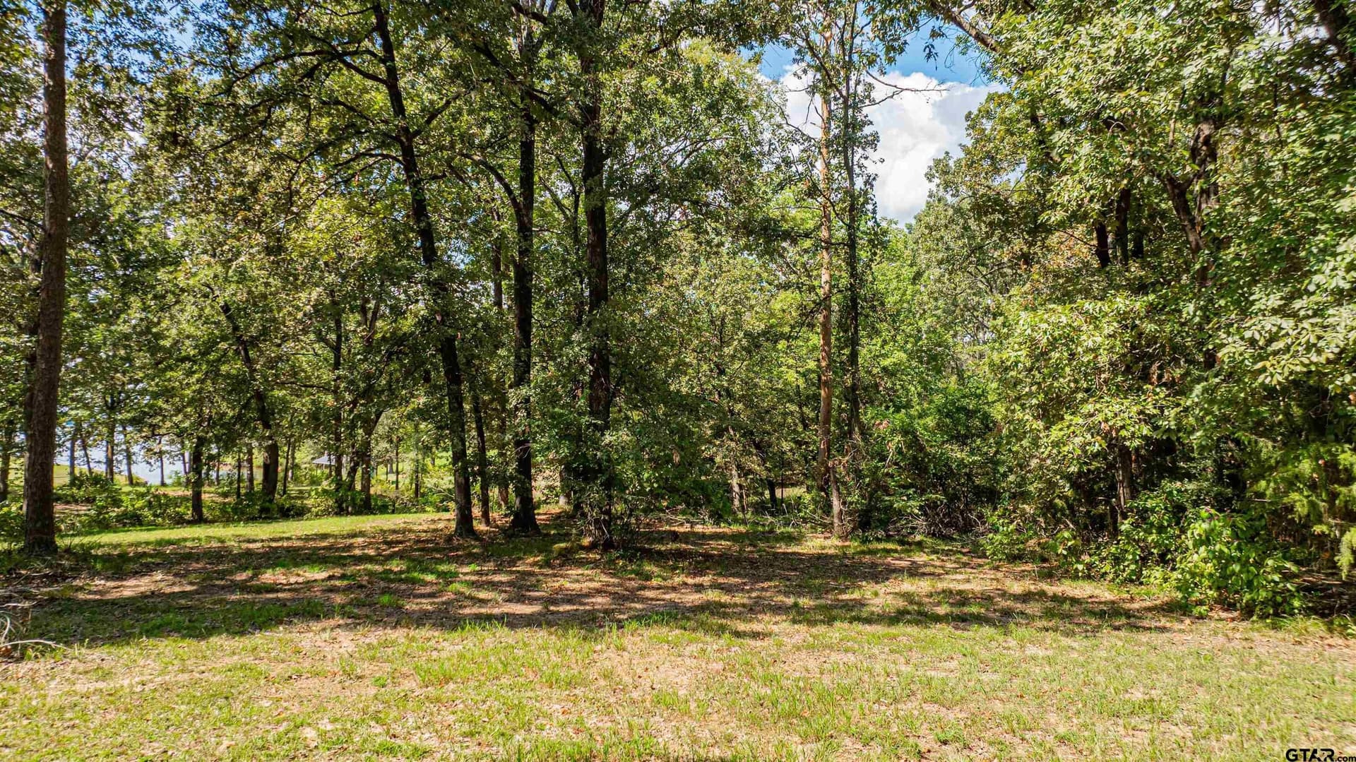 1.77 acres in Camp County - photo 16