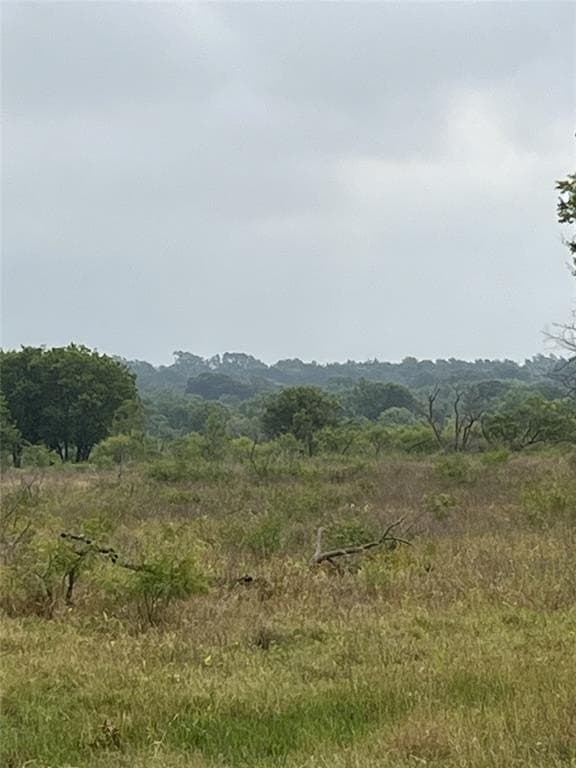 45.05 acres in Limestone County - photo 4