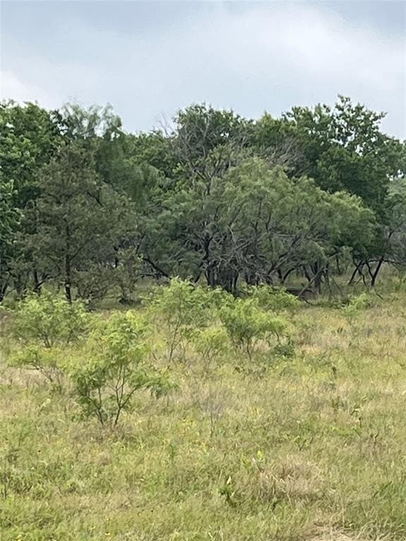 45.05 acres in Limestone County - photo 5
