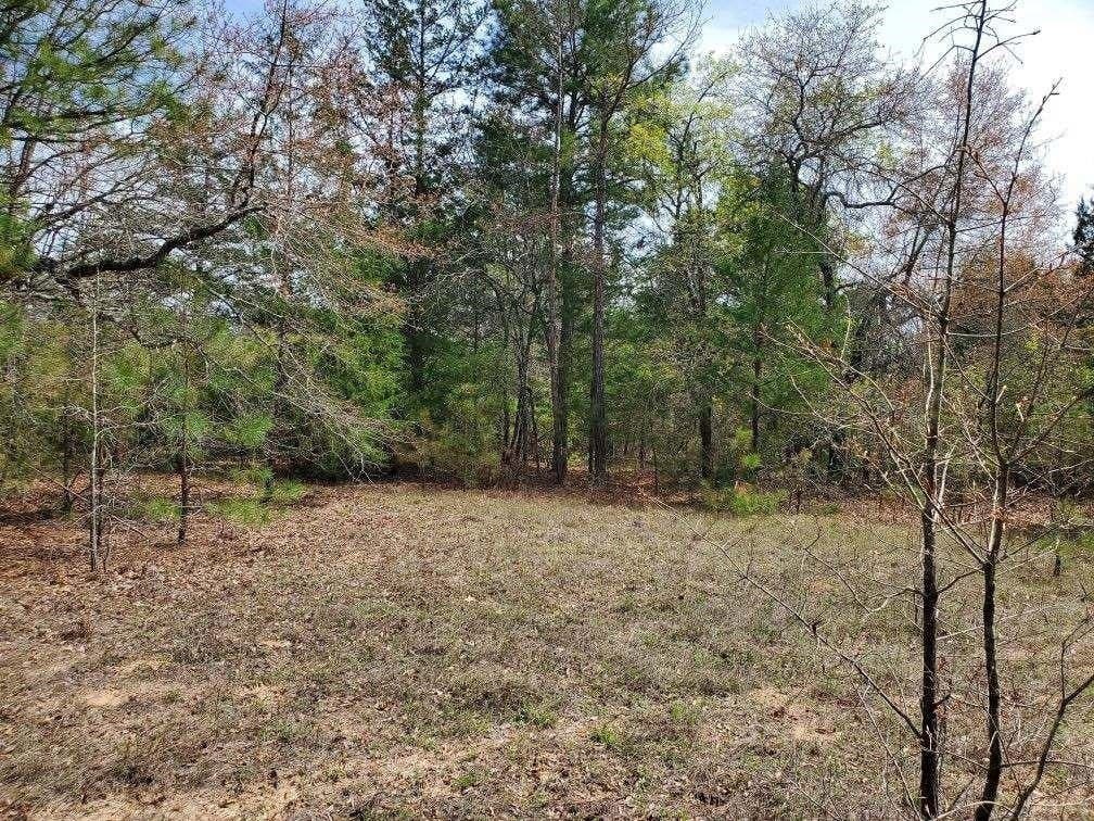 111.09 acres in Marion County - photo 25