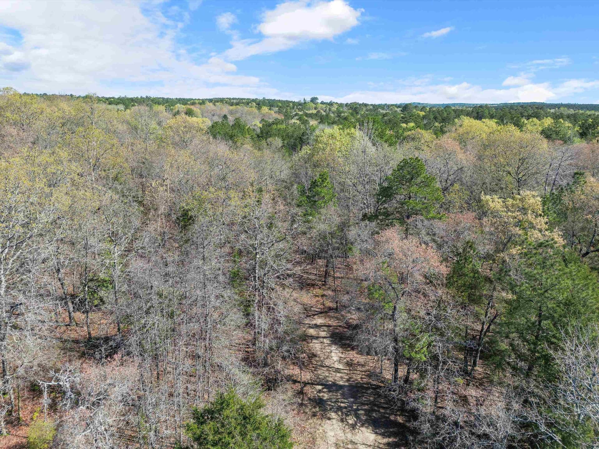 111.09 acres in Marion County - photo 21