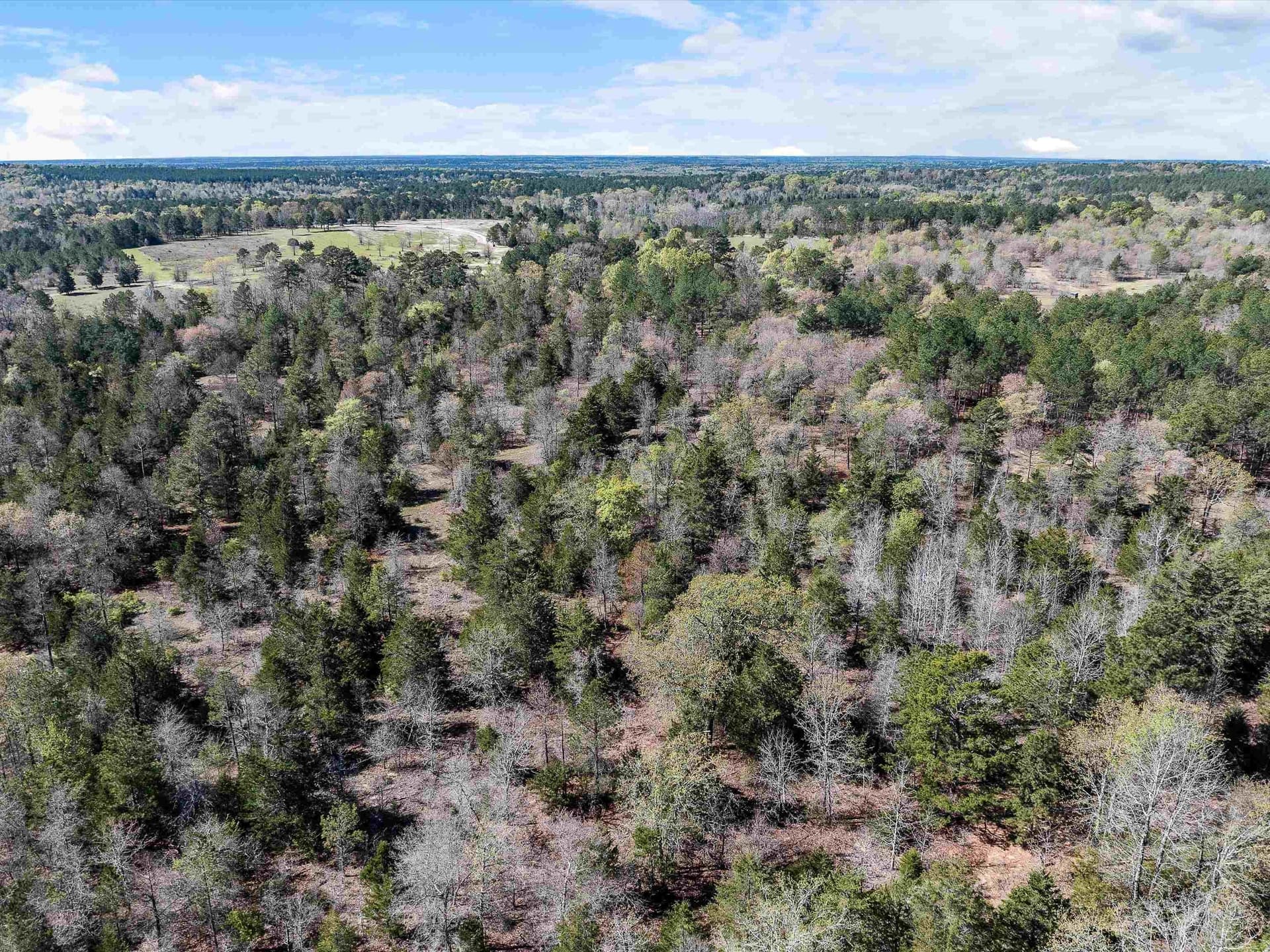 111.09 acres in Marion County - photo 18