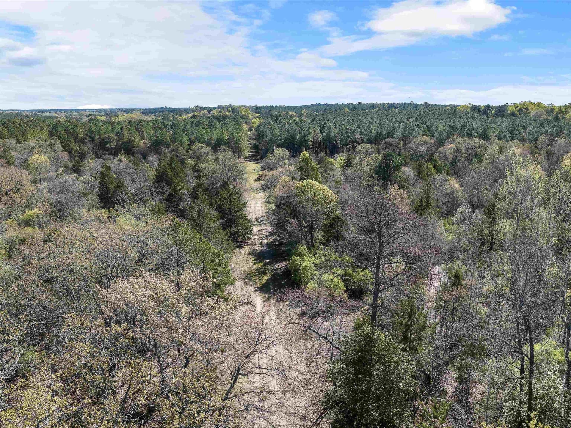 111.09 acres in Marion County - photo 14