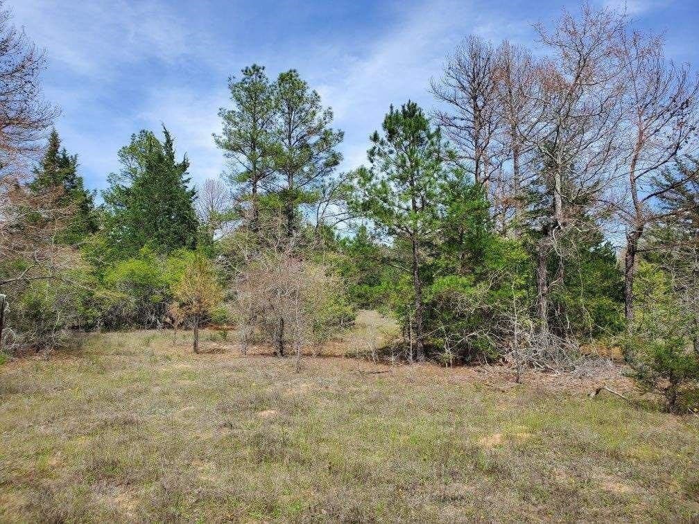 111.09 acres in Marion County - photo 27