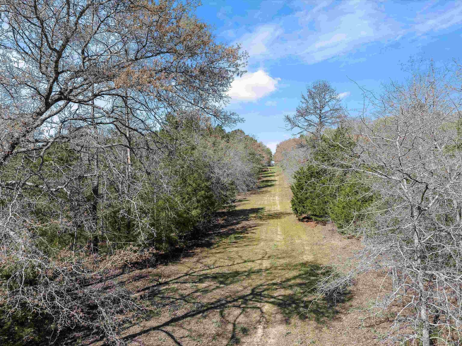 111.09 acres in Marion County - photo 12