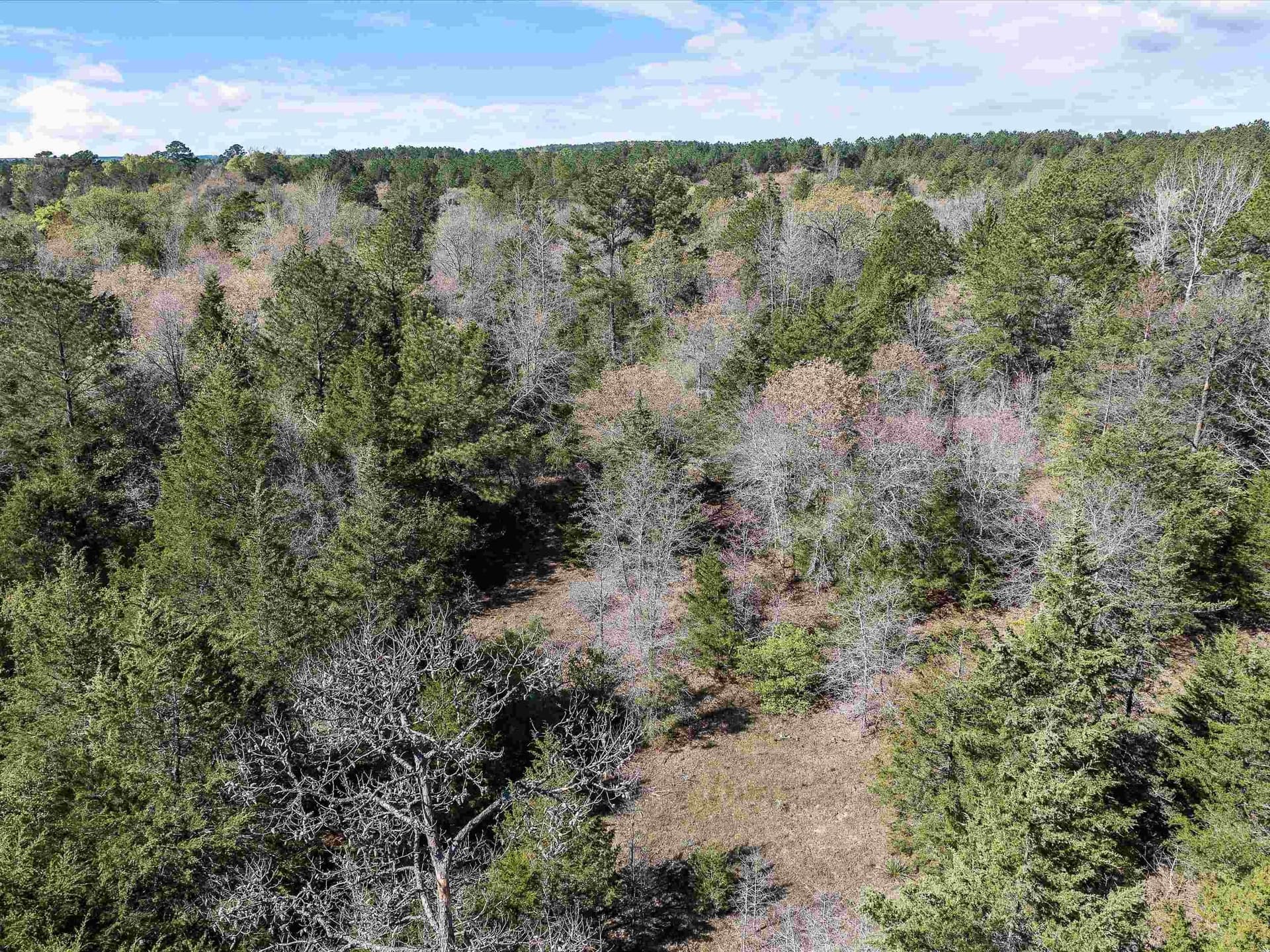 111.09 acres in Marion County - photo 17