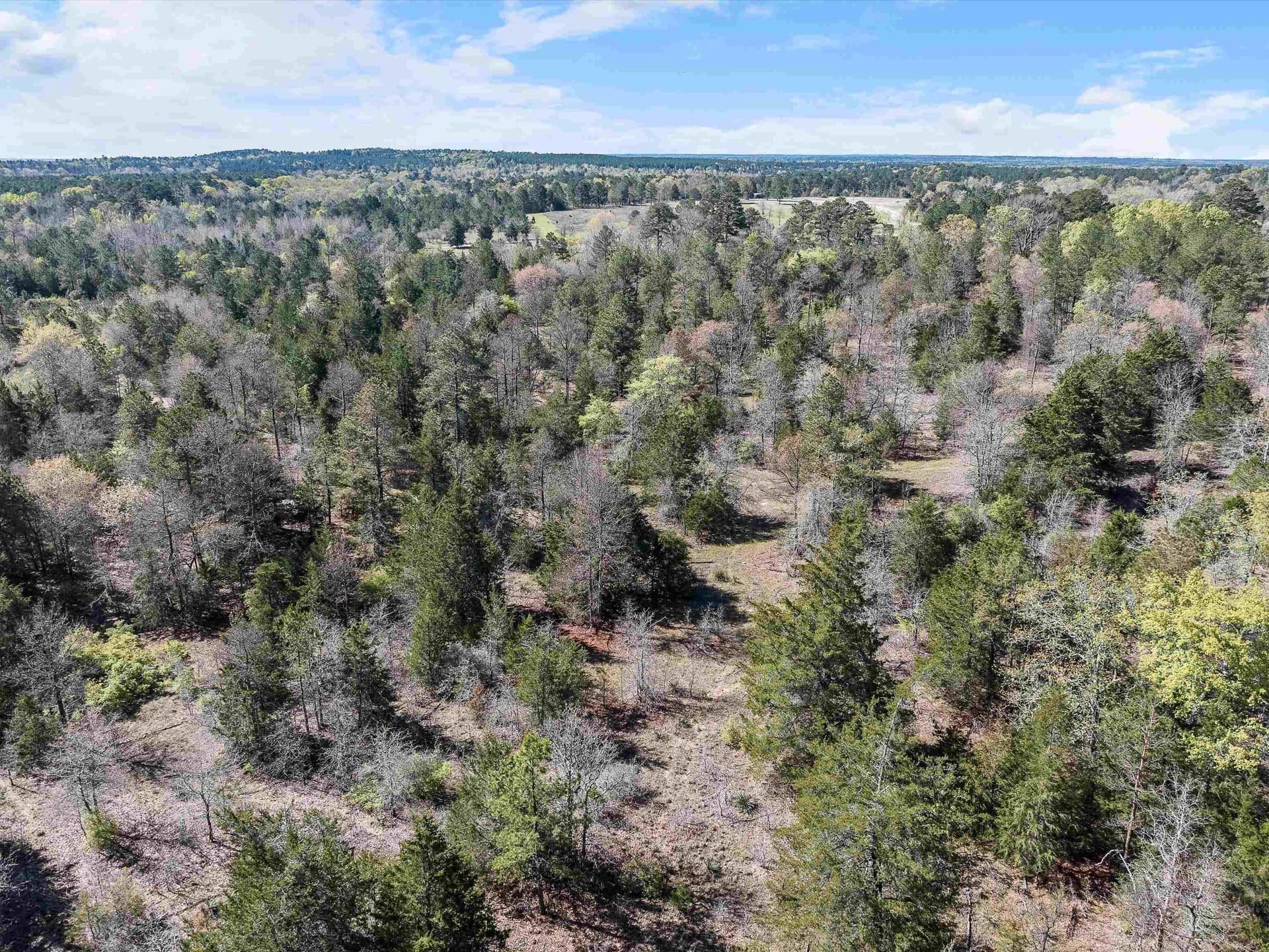 111.09 acres in Marion County - photo 19