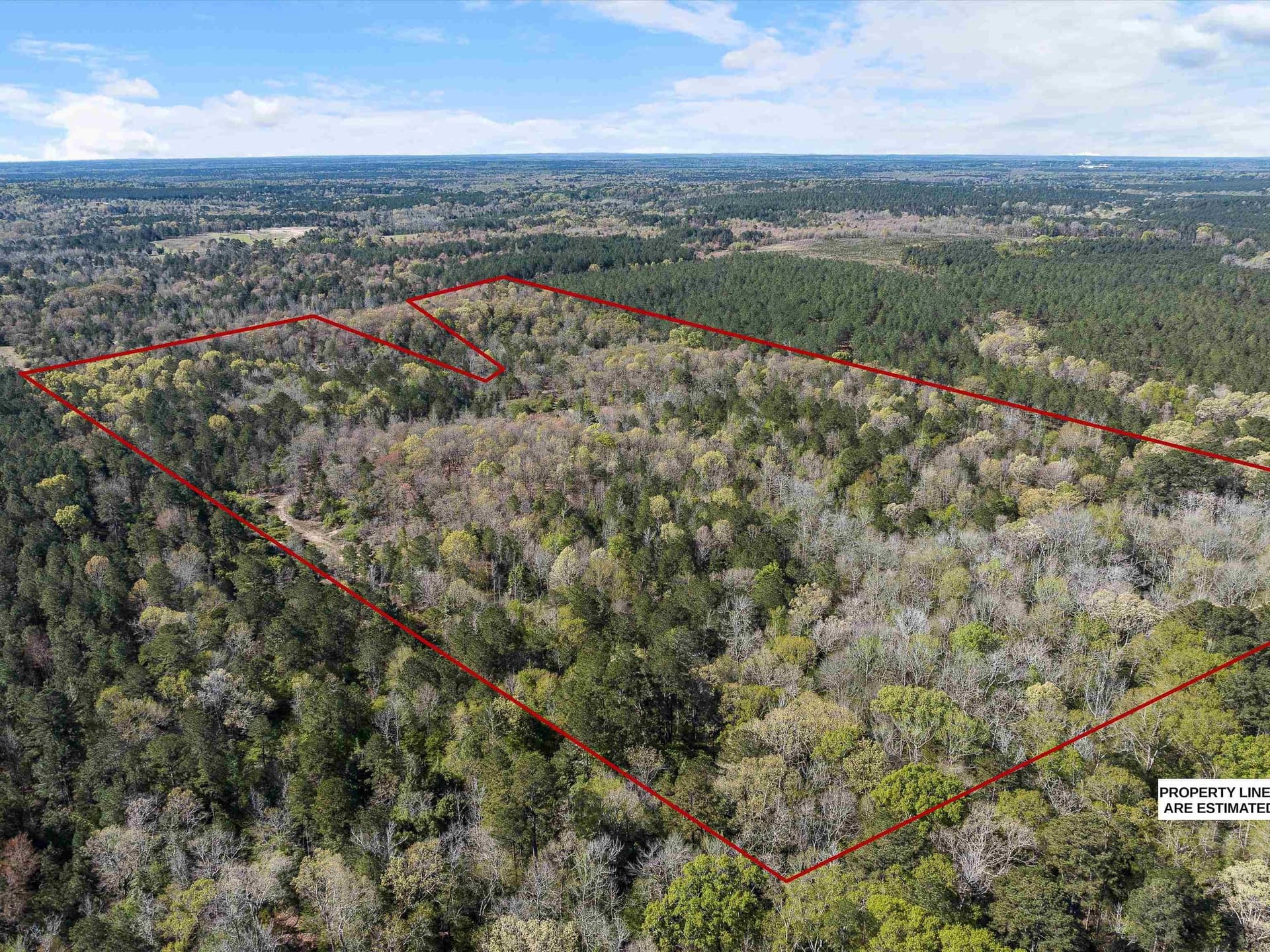 111.09 acres in Marion County - photo 16