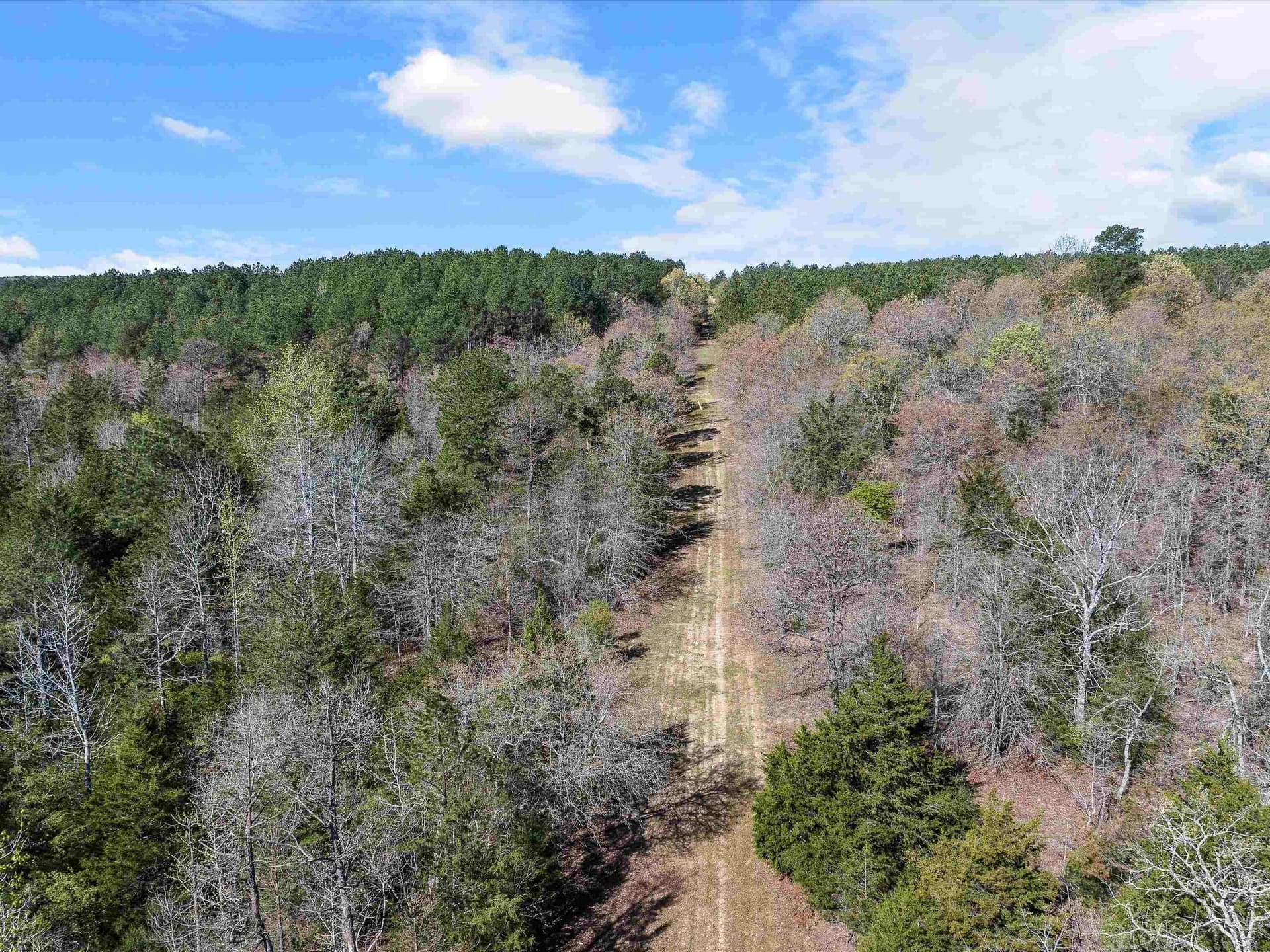 111.09 acres in Marion County - photo 15