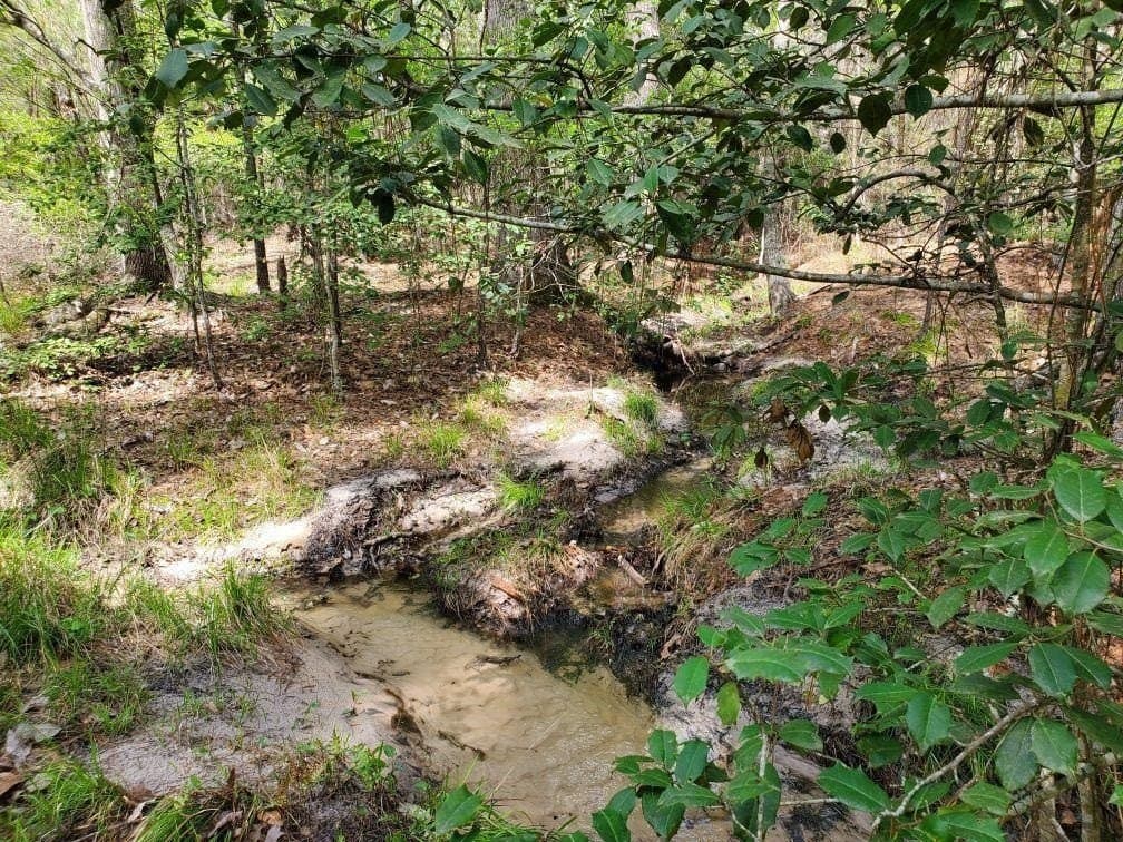 111.09 acres in Marion County - photo 6