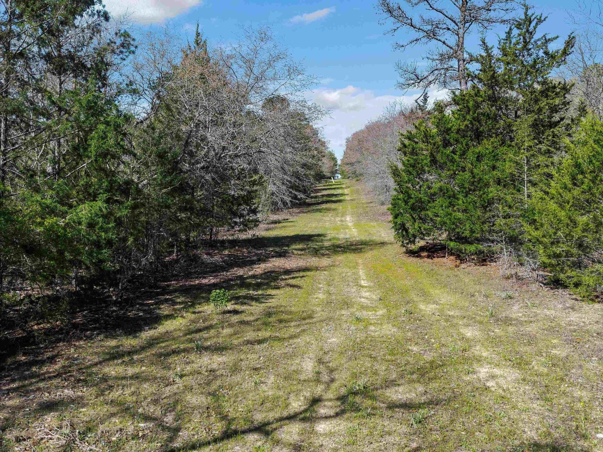 111.09 acres in Marion County - photo 20