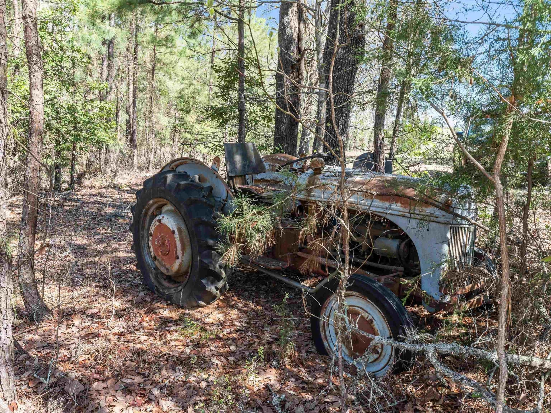 111.09 acres in Marion County - photo 10