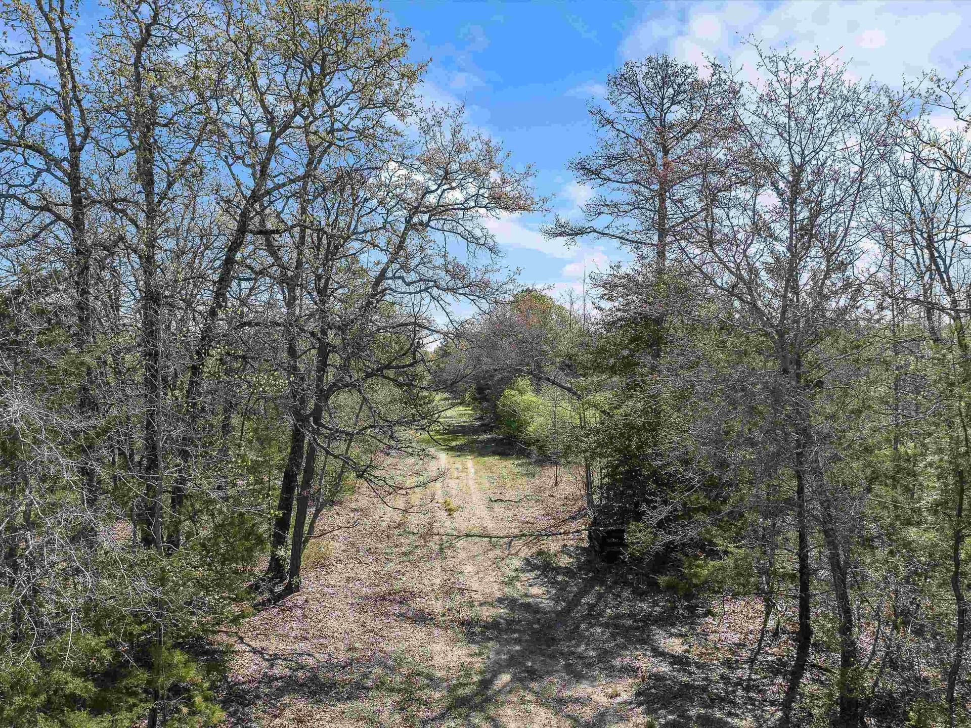 111.09 acres in Marion County - photo 13