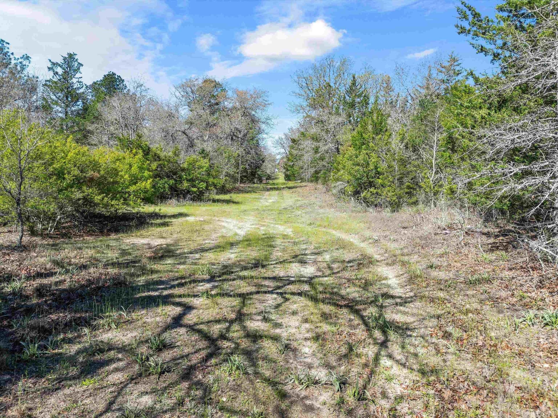 111.09 acres in Marion County - photo 23