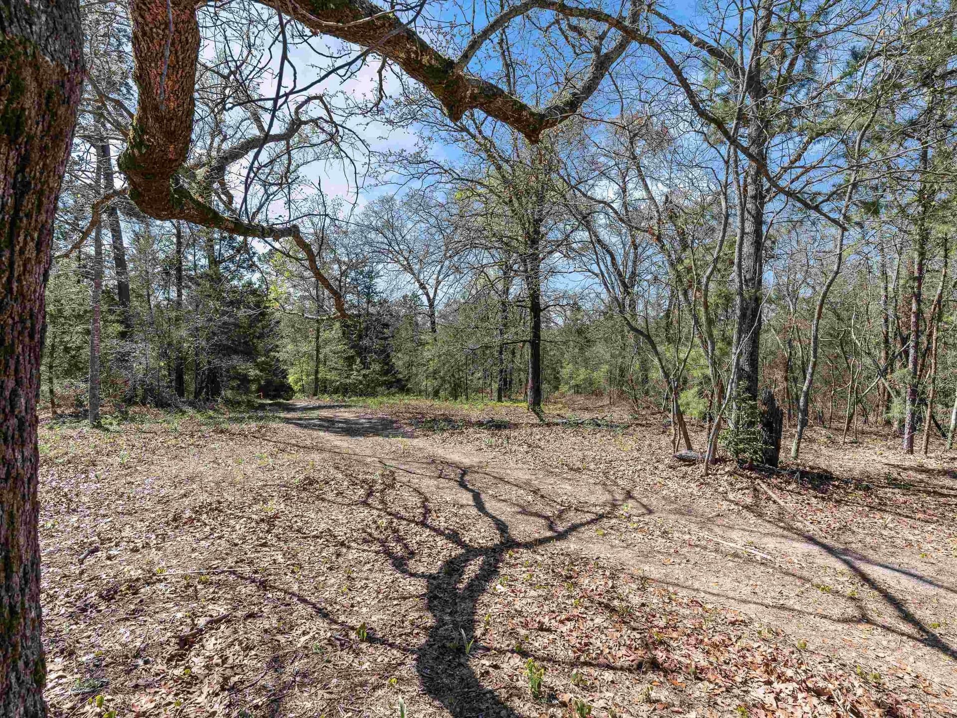 111.09 acres in Marion County - photo 11