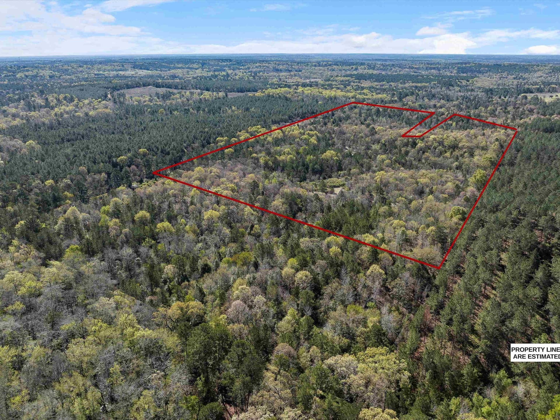 111.09 acres in Marion County - photo 2