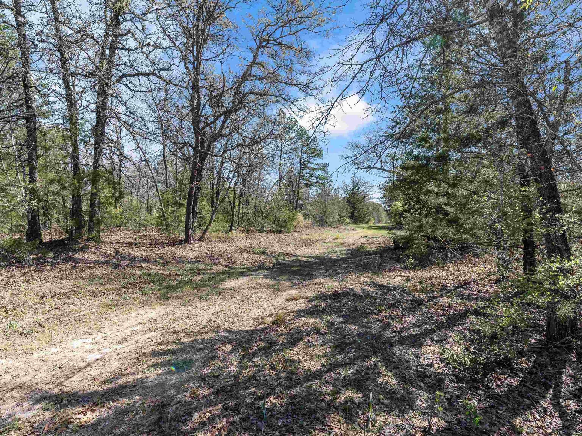 111.09 acres in Marion County - photo 5