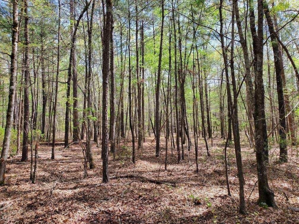 111.09 acres in Marion County - photo 28