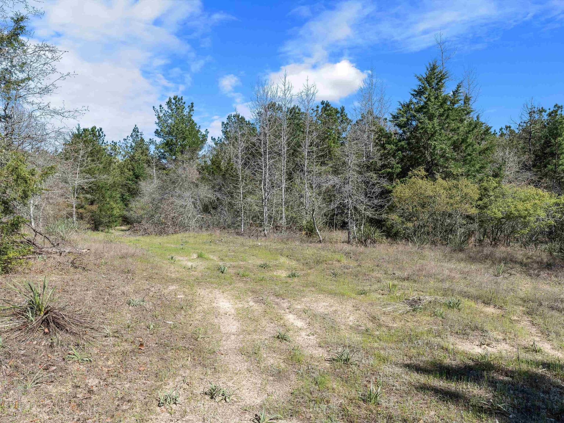 111.09 acres in Marion County - photo 8