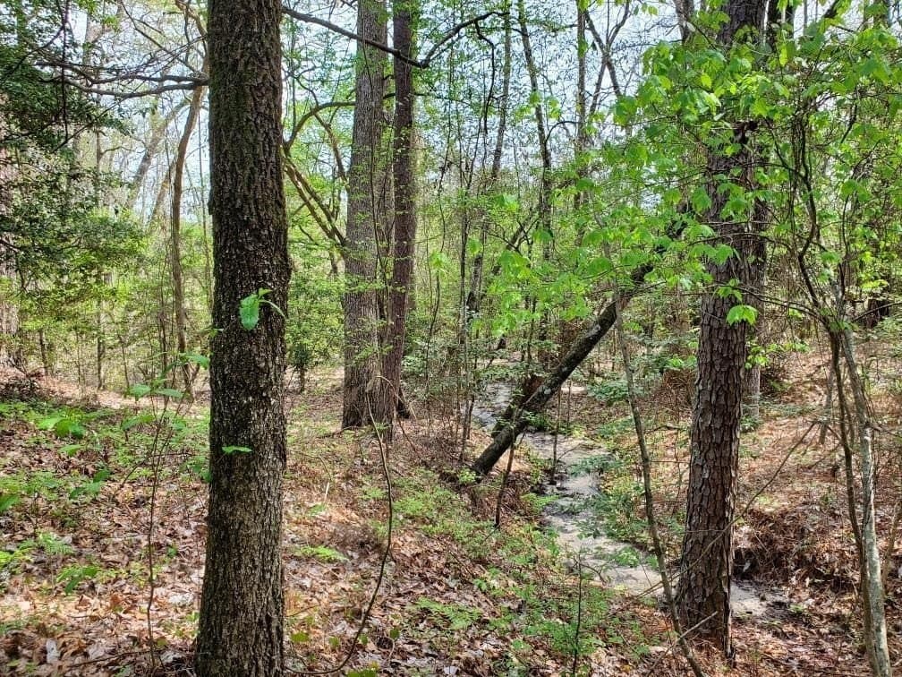 111.09 acres in Marion County - photo 26