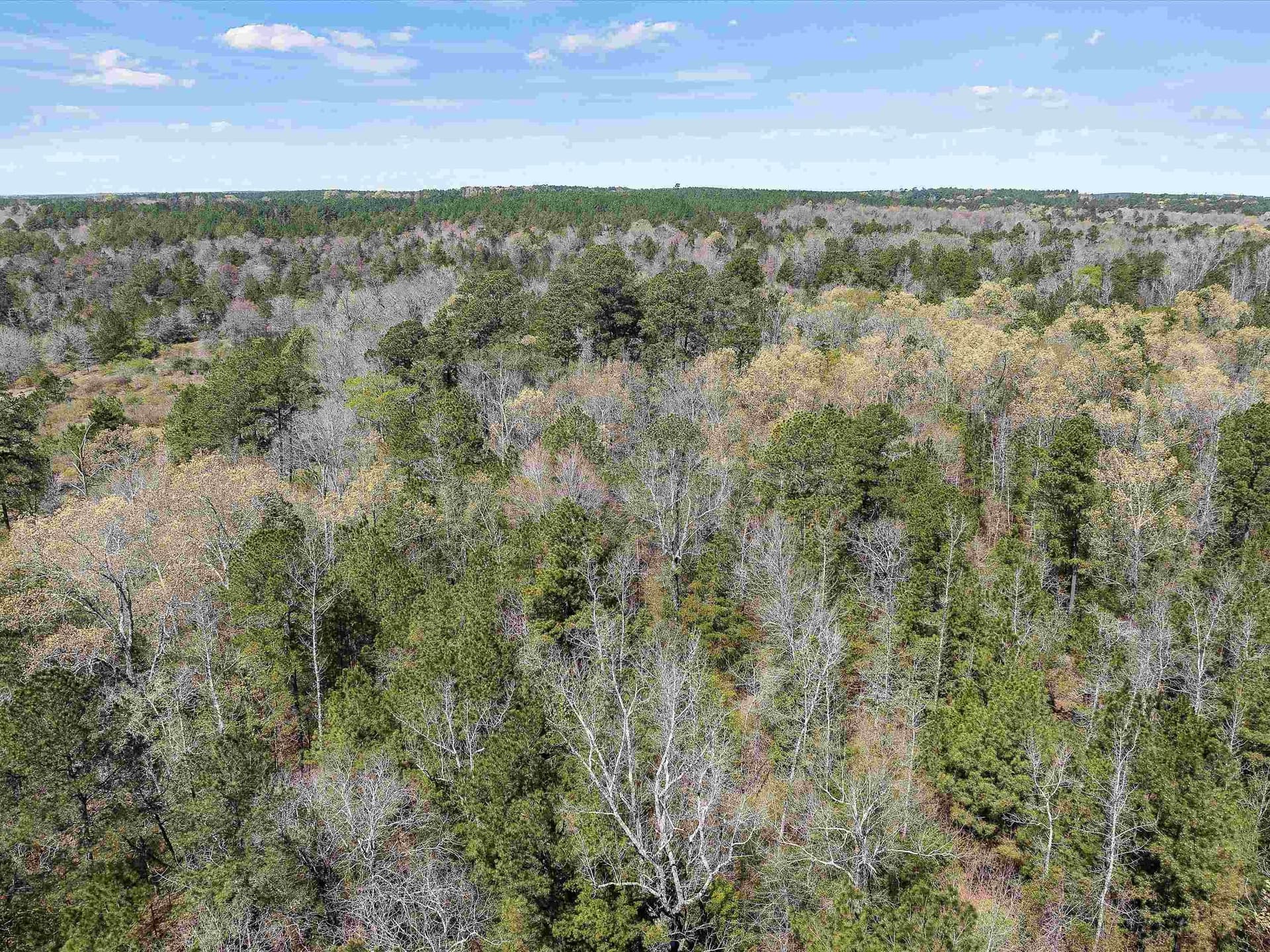 111.09 acres in Marion County - photo 4