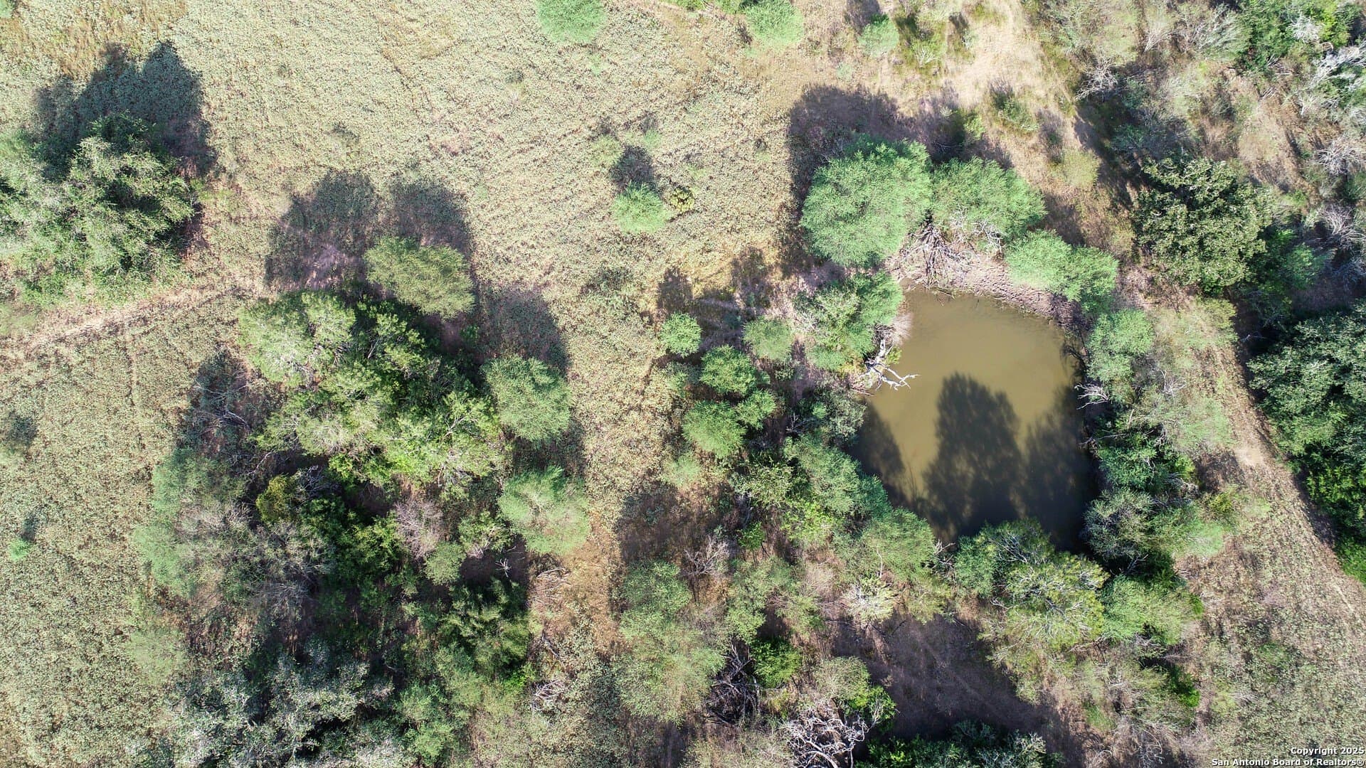 41.57 acres in De Witt County - photo 7