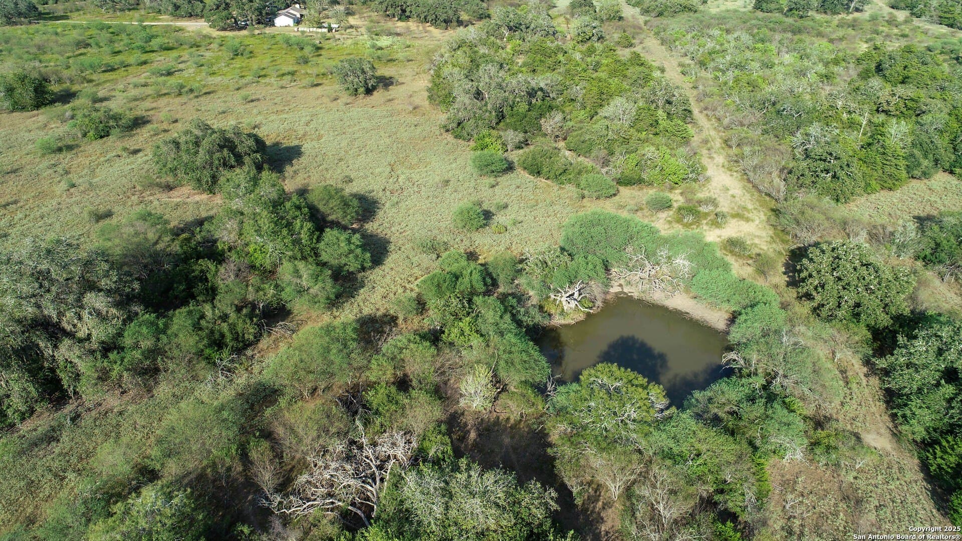 41.57 acres in De Witt County - photo 10