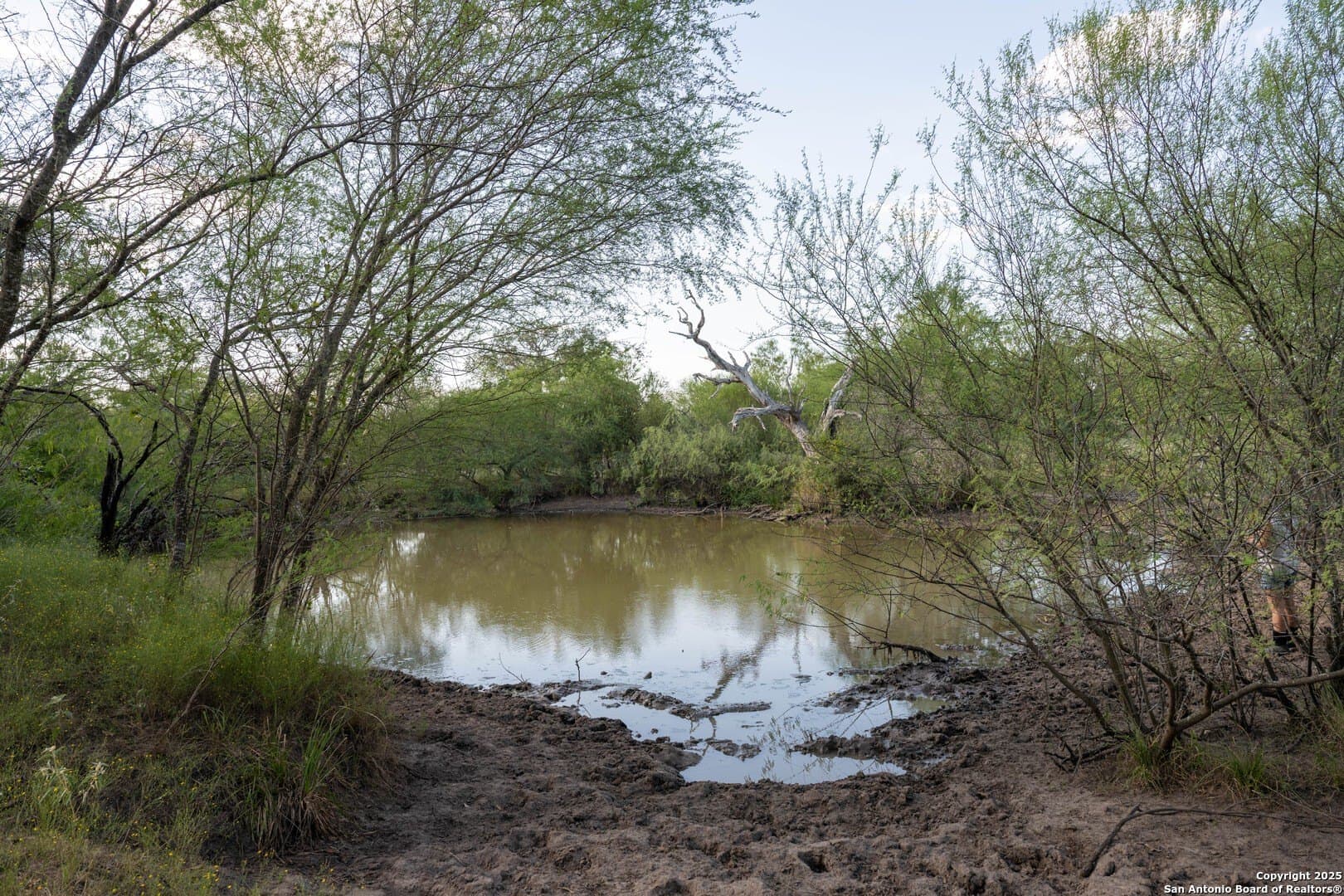 41.57 acres in De Witt County - photo 9