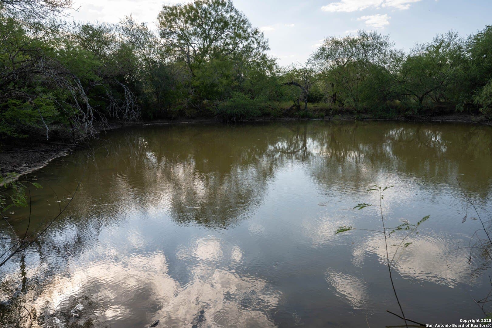 41.57 acres in De Witt County - photo 8
