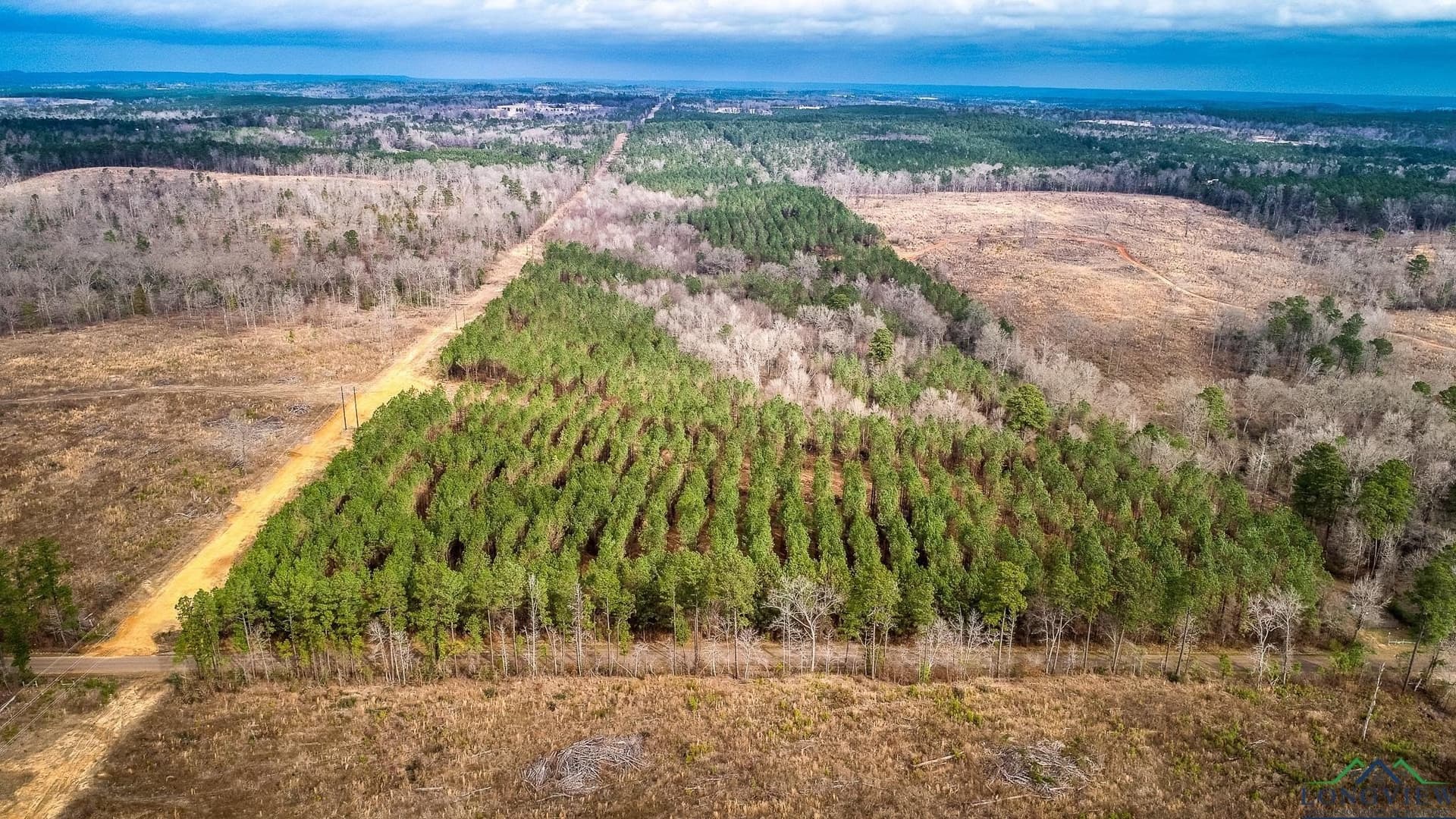 8 acres in Upshur County - photo 13