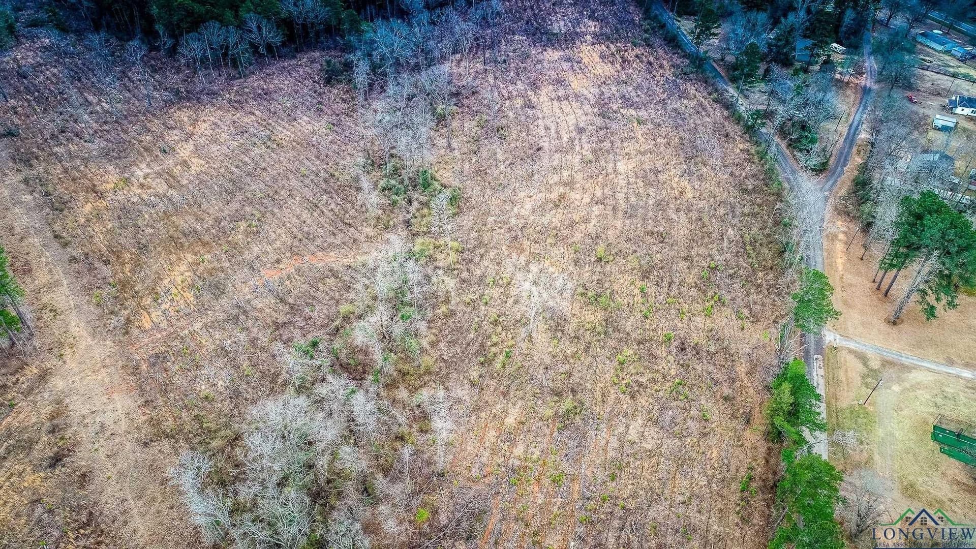 8 acres in Upshur County - photo 5