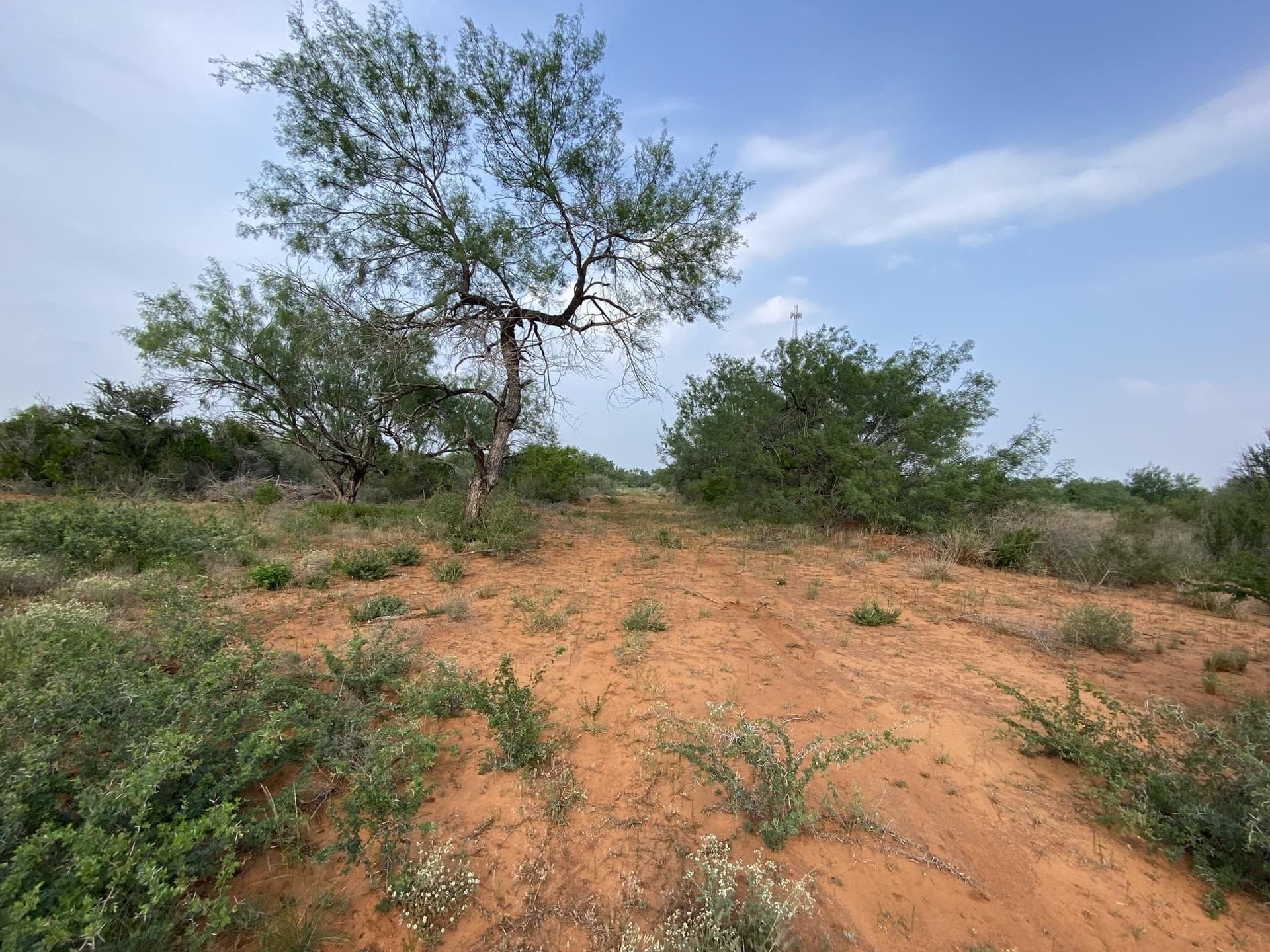 13.45 acres in La Salle County - photo 5