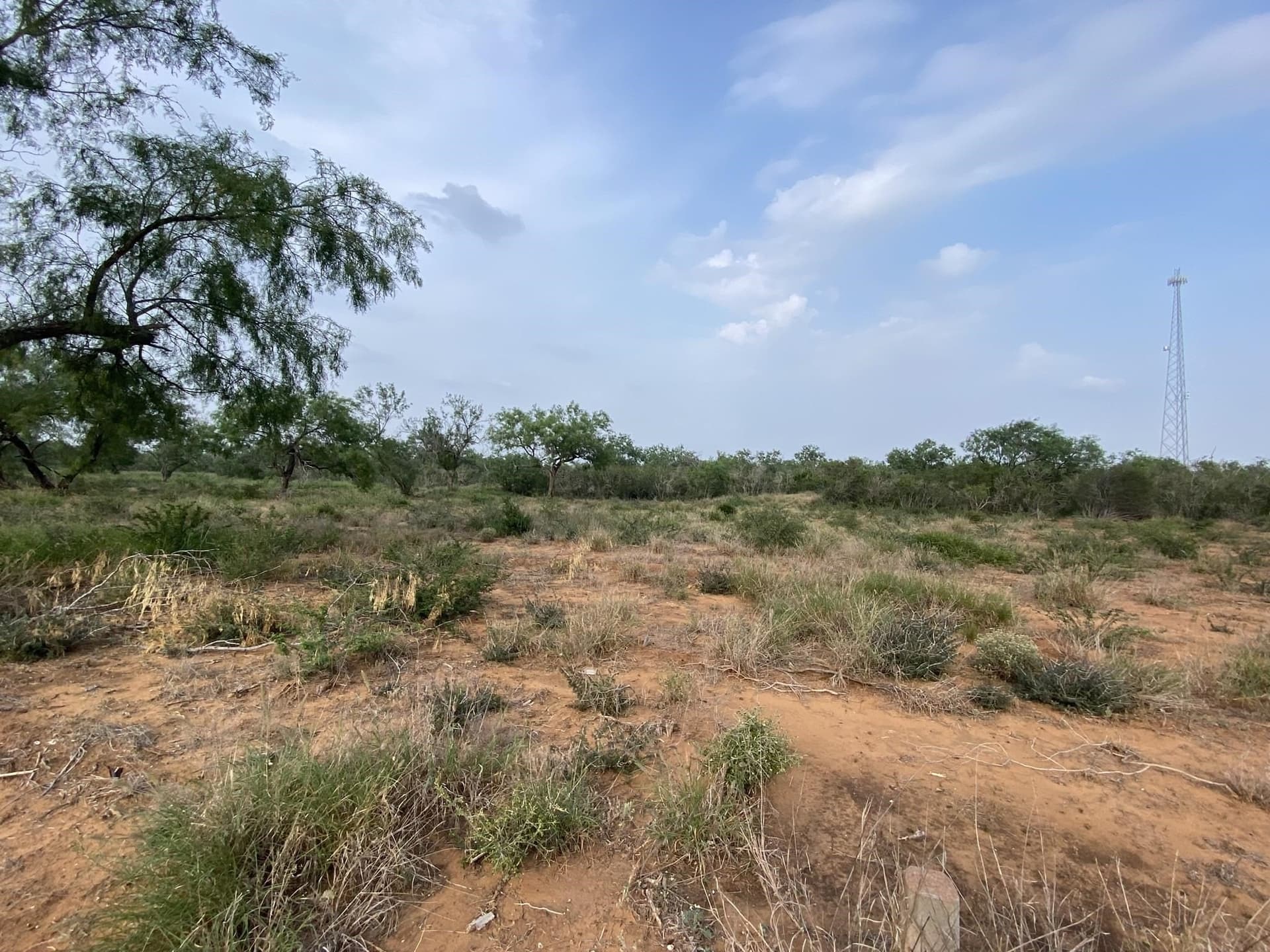 13.45 acres in La Salle County - photo 7
