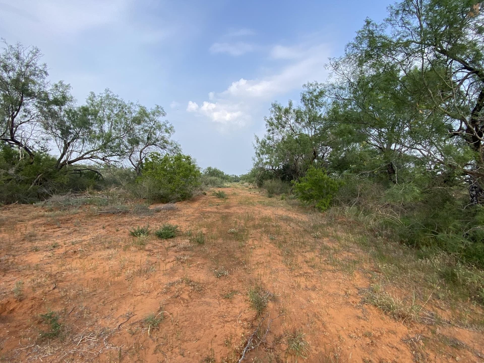 13.45 acres in La Salle County - photo 6