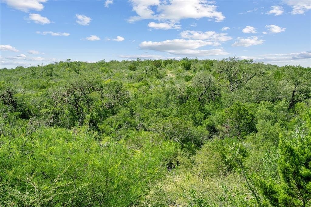 7,532 acres in Uvalde County - photo 30