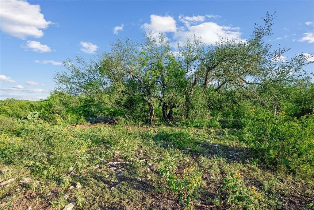 7,532 acres in Uvalde County - photo 7