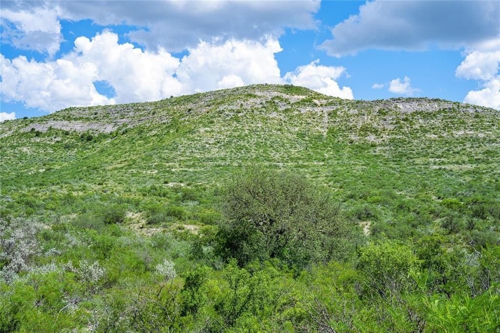 7,532 acres in Uvalde County - photo 16