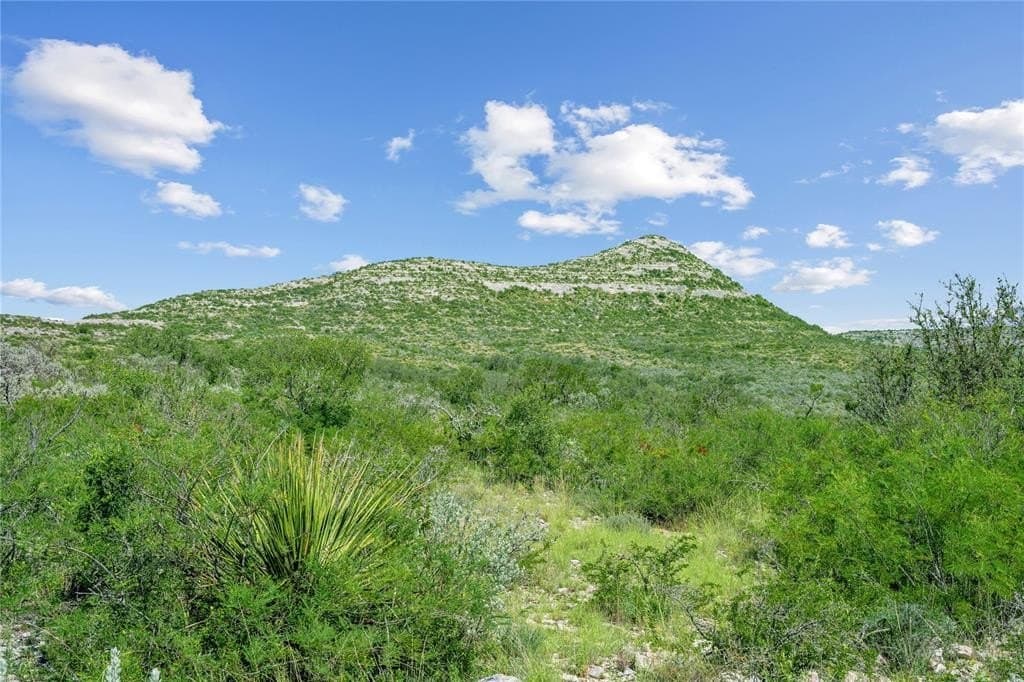 7,532 acres in Uvalde County - photo 36