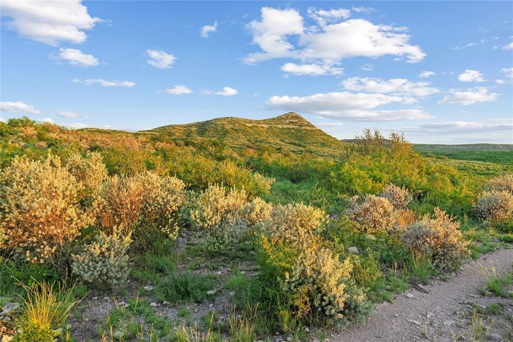 7,532 acres in Uvalde County - photo 4