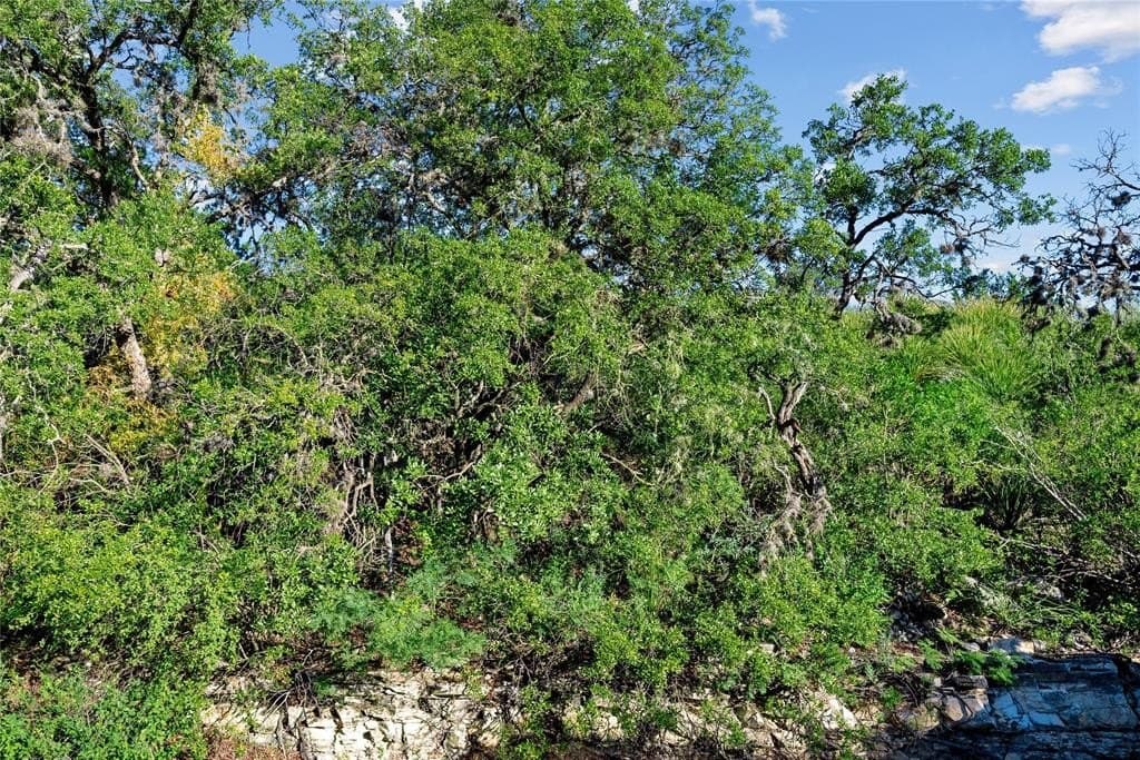 7,532 acres in Uvalde County - photo 9